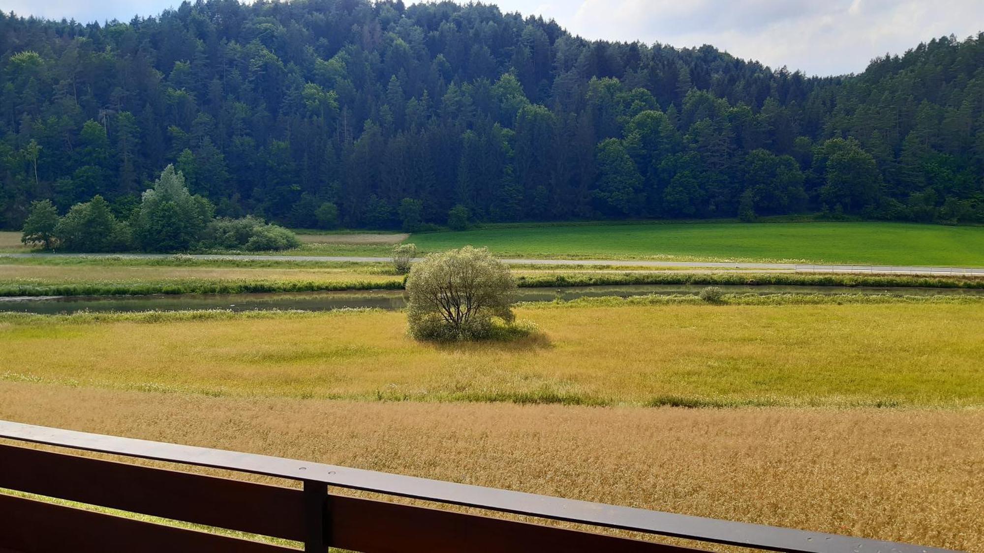 Waldpension Rabeneck Otel Waischenfeld Dış mekan fotoğraf