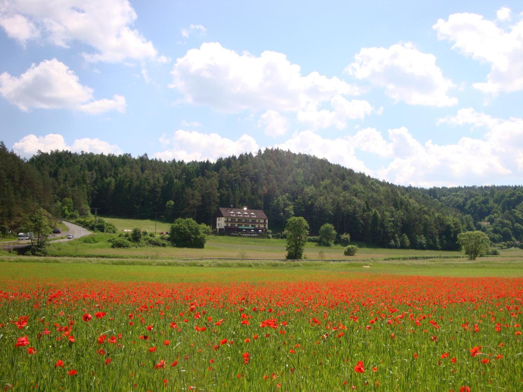 Waldpension Rabeneck Otel Waischenfeld Dış mekan fotoğraf